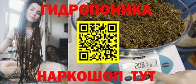 СК Рыбинск