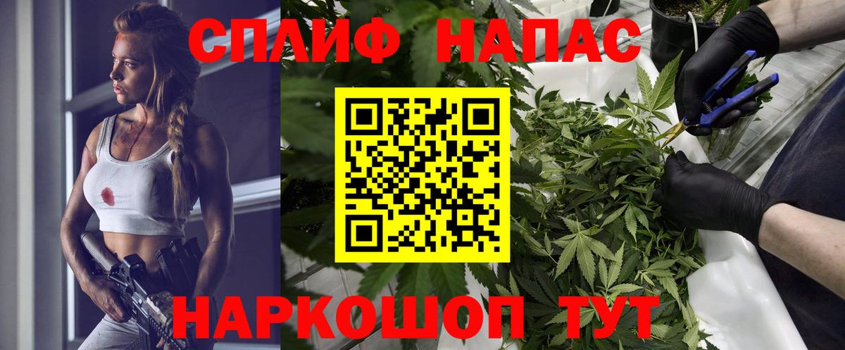 Омск  Бошки марихуана White Widow  Марихуана планчик  Канабис план  Вход с VPN 